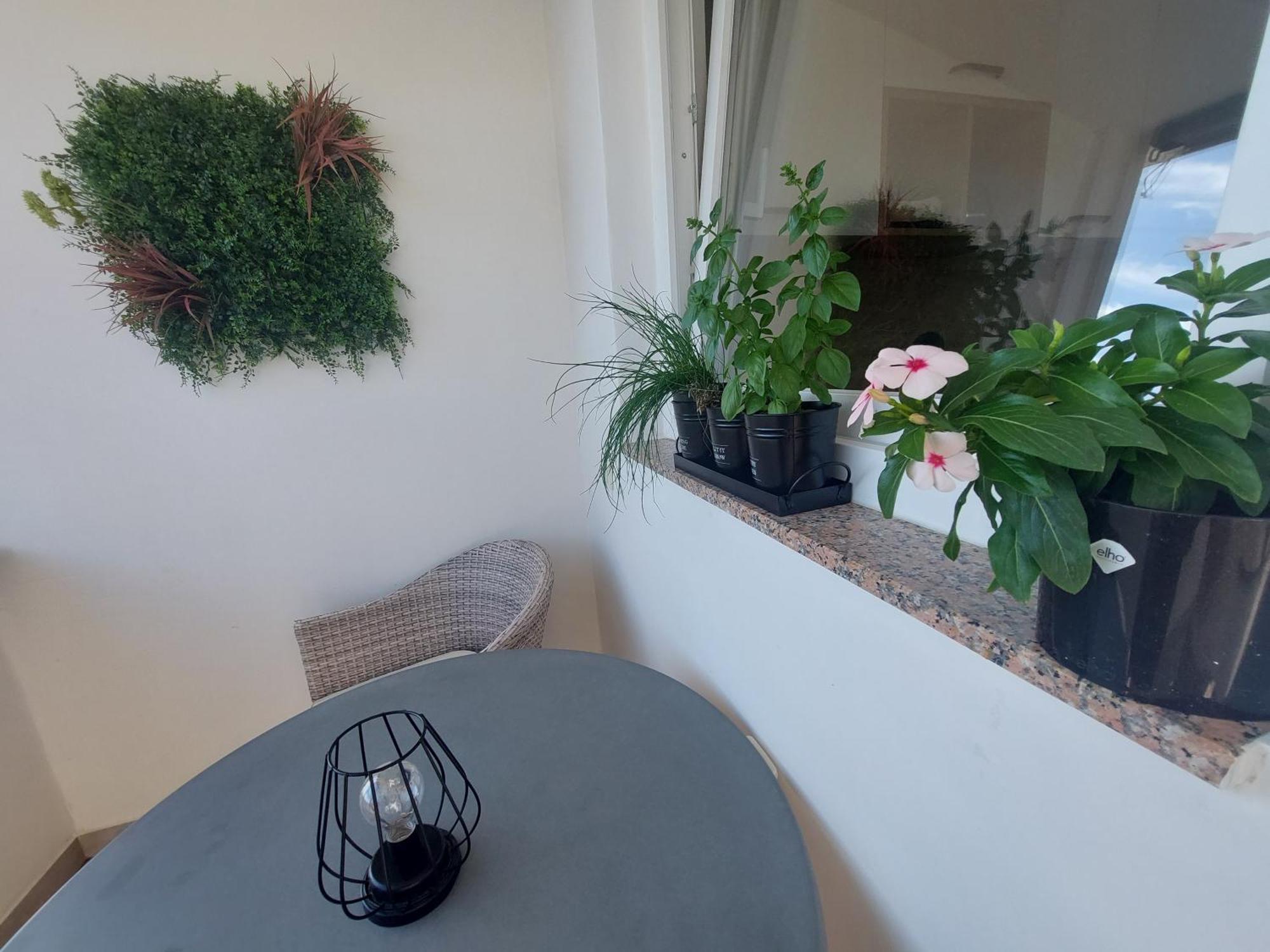 Petra Rooms And Apartments Palit Chambre photo